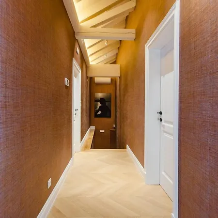 Modern Nest *