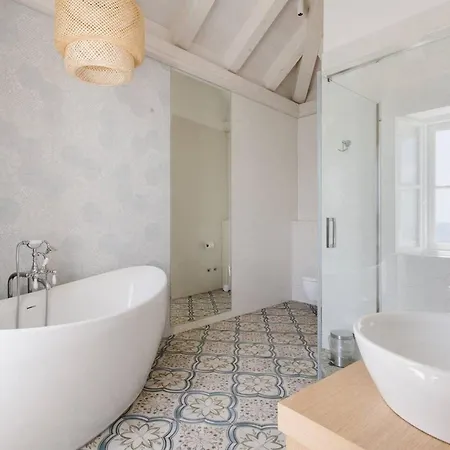 Modern Nest *